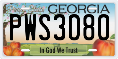GA license plate PWS3080