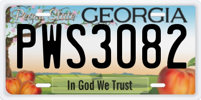 GA license plate PWS3082