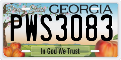 GA license plate PWS3083
