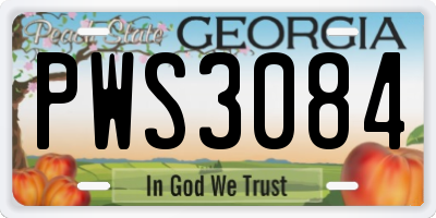 GA license plate PWS3084