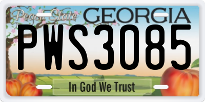 GA license plate PWS3085