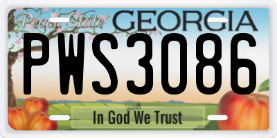 GA license plate PWS3086