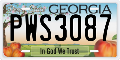 GA license plate PWS3087