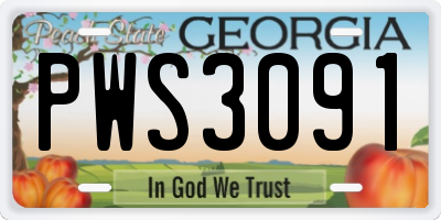 GA license plate PWS3091