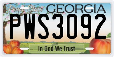 GA license plate PWS3092