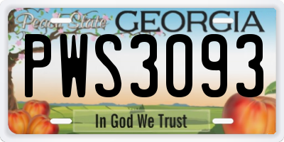 GA license plate PWS3093