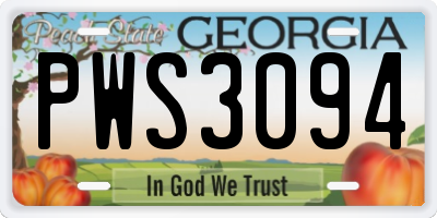 GA license plate PWS3094