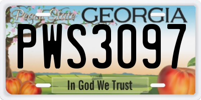 GA license plate PWS3097