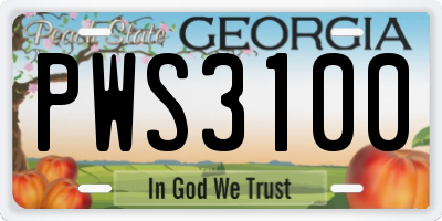 GA license plate PWS3100