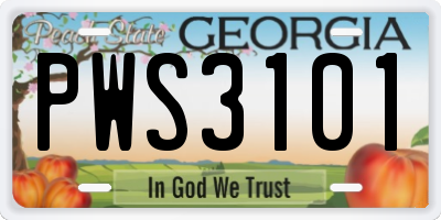 GA license plate PWS3101