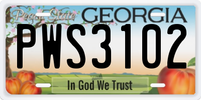 GA license plate PWS3102