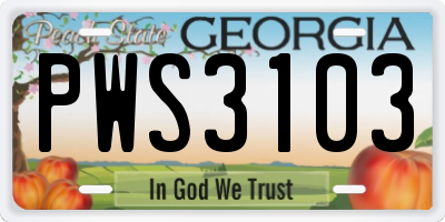 GA license plate PWS3103