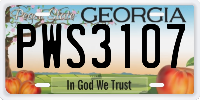 GA license plate PWS3107