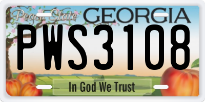 GA license plate PWS3108