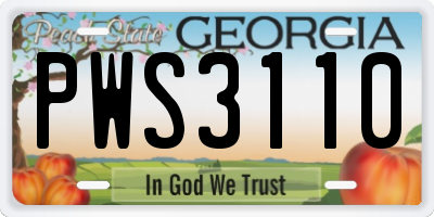 GA license plate PWS3110