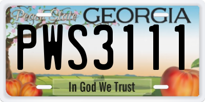 GA license plate PWS3111