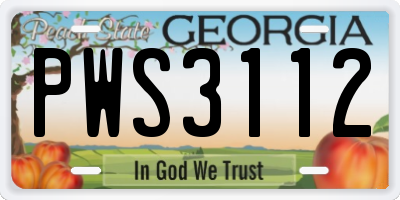 GA license plate PWS3112