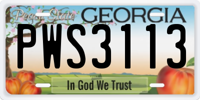 GA license plate PWS3113