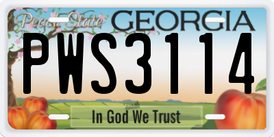 GA license plate PWS3114