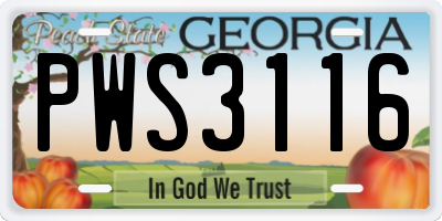 GA license plate PWS3116