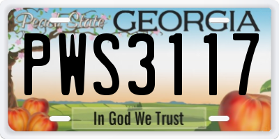 GA license plate PWS3117
