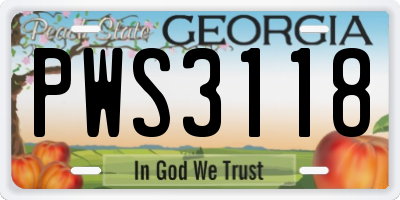 GA license plate PWS3118