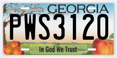 GA license plate PWS3120