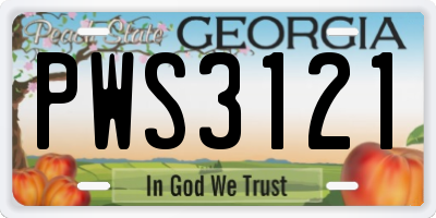 GA license plate PWS3121