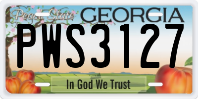 GA license plate PWS3127