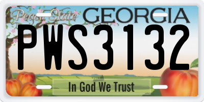 GA license plate PWS3132