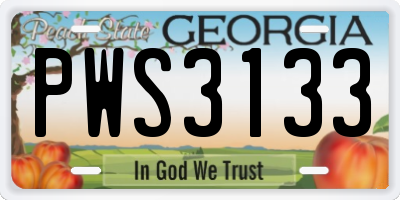 GA license plate PWS3133