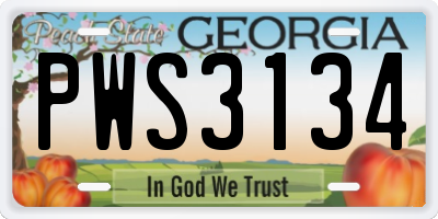GA license plate PWS3134