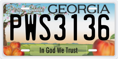 GA license plate PWS3136