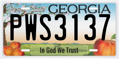 GA license plate PWS3137