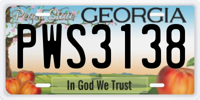 GA license plate PWS3138