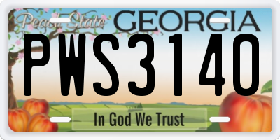 GA license plate PWS3140