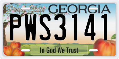 GA license plate PWS3141