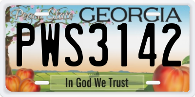 GA license plate PWS3142