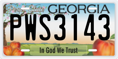 GA license plate PWS3143