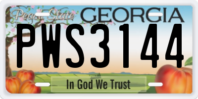 GA license plate PWS3144