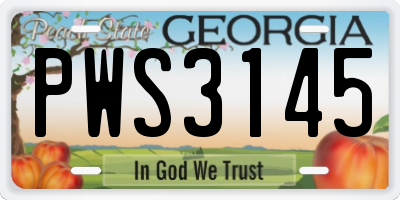 GA license plate PWS3145