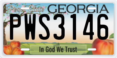 GA license plate PWS3146