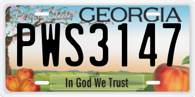 GA license plate PWS3147