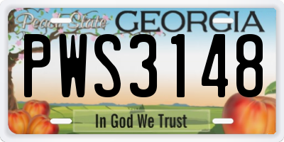 GA license plate PWS3148