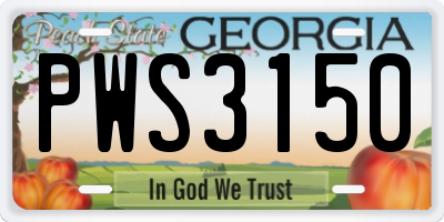 GA license plate PWS3150