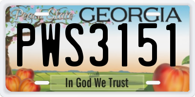 GA license plate PWS3151