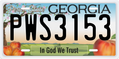 GA license plate PWS3153