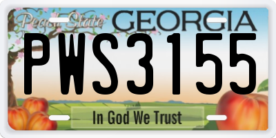 GA license plate PWS3155