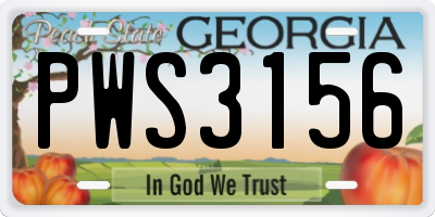 GA license plate PWS3156