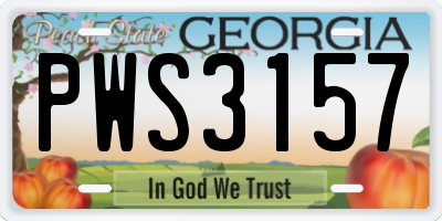 GA license plate PWS3157